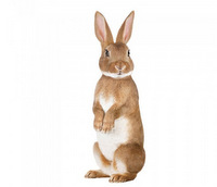 forrest-friend- rabbit