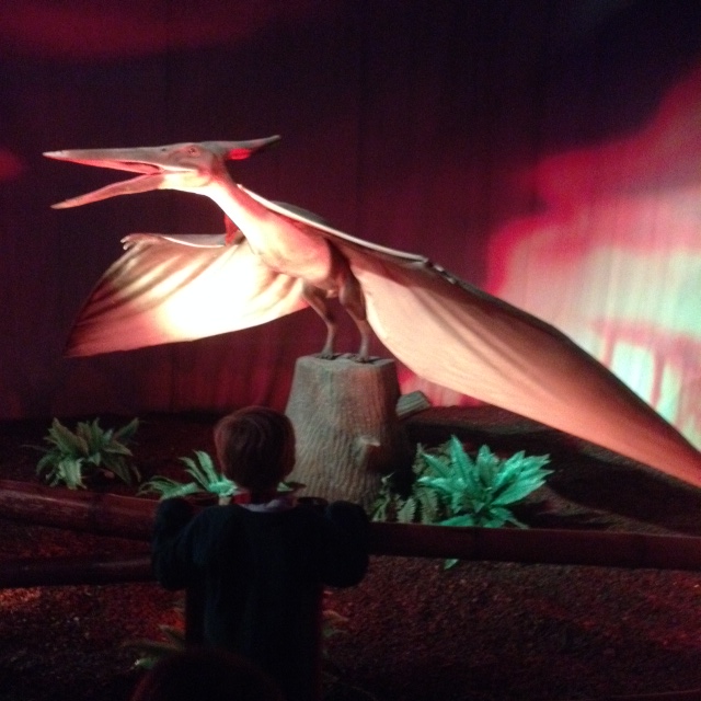 Dino expo