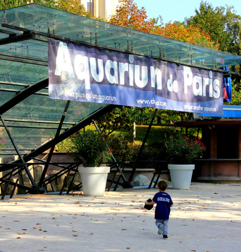 Aquarium de Paris