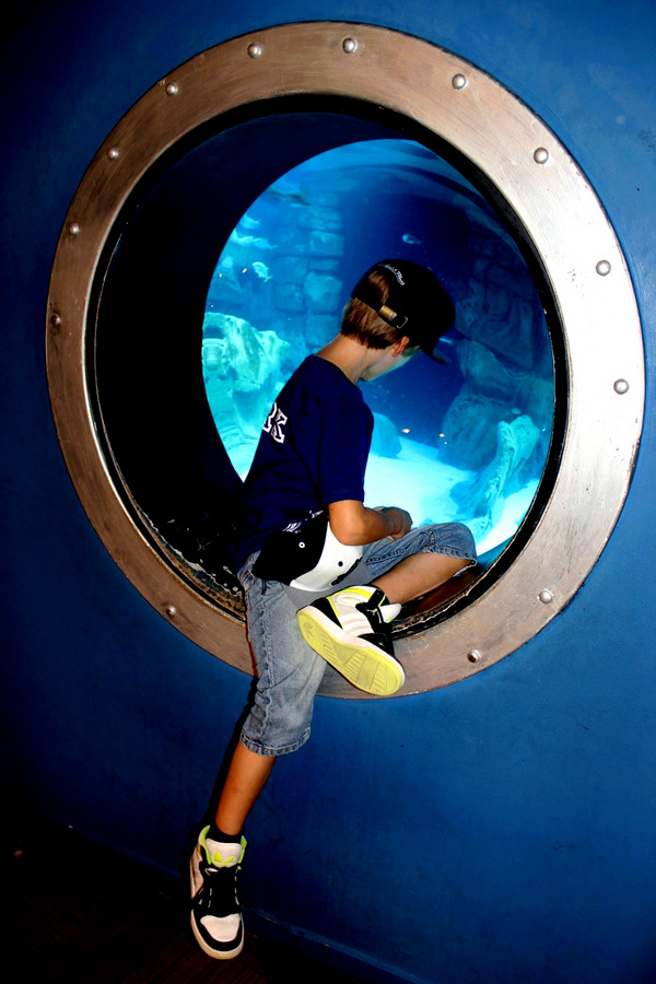 Aquarium de Paris