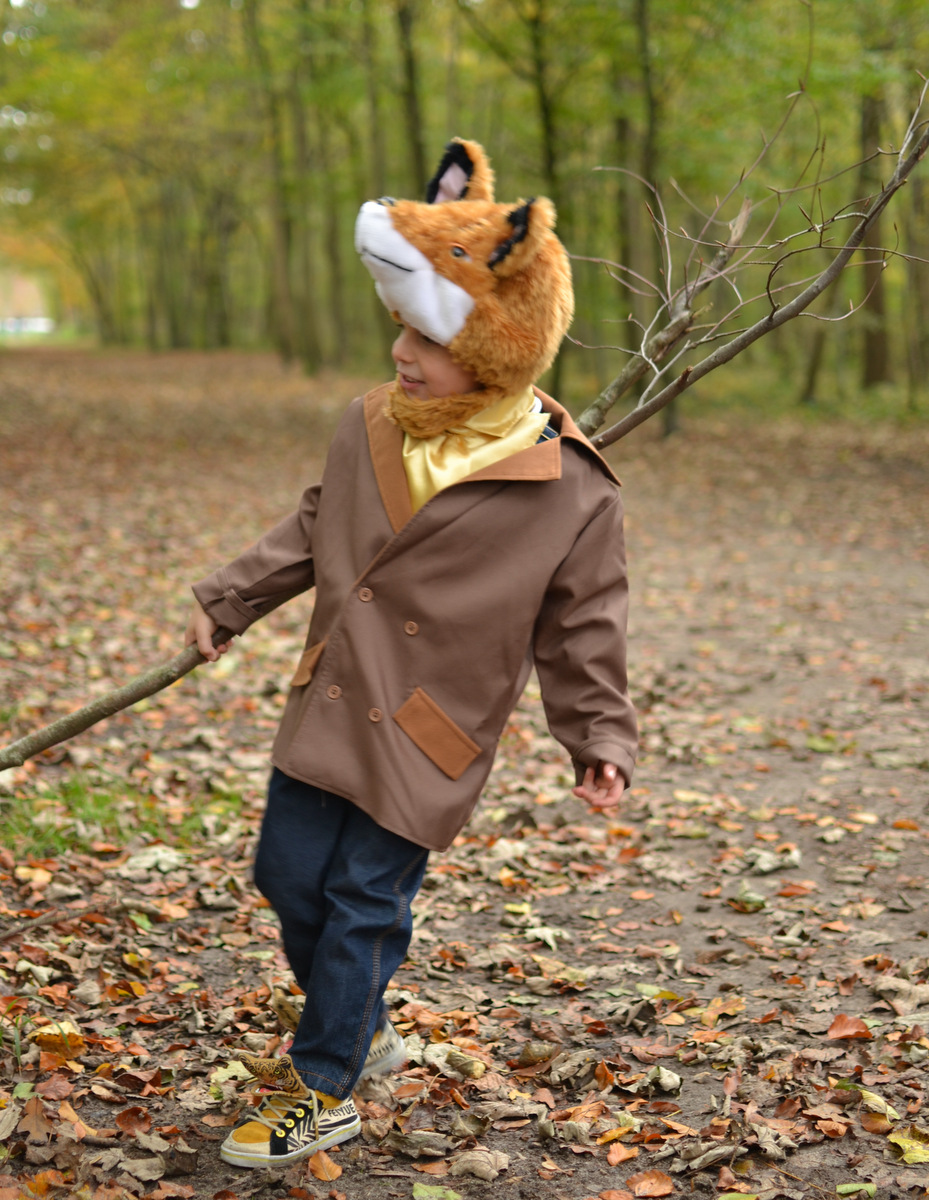 Mr Fox in the Forest