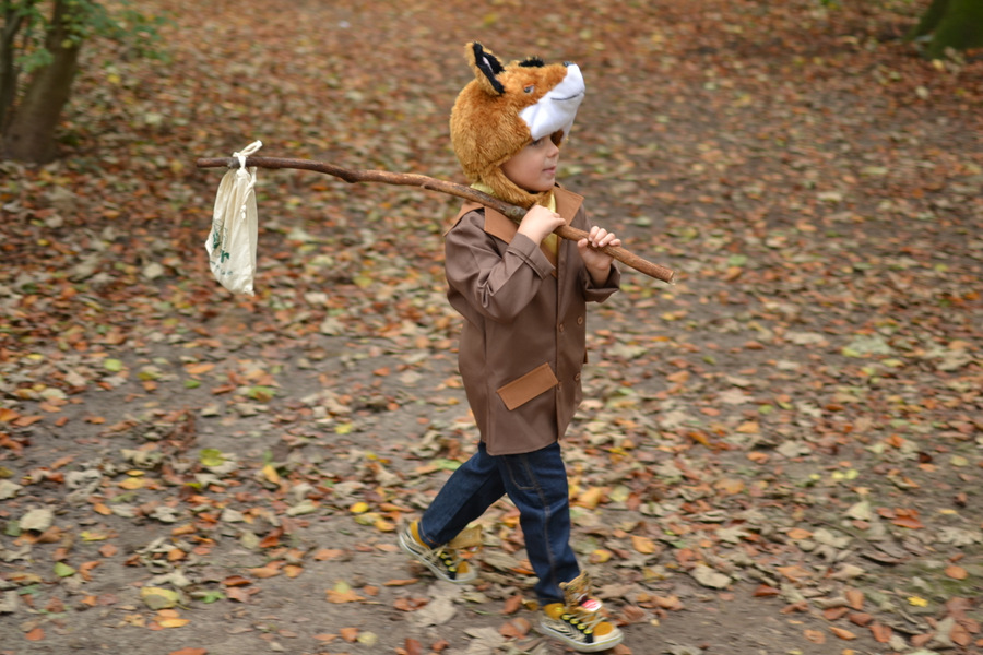 Mr Fox