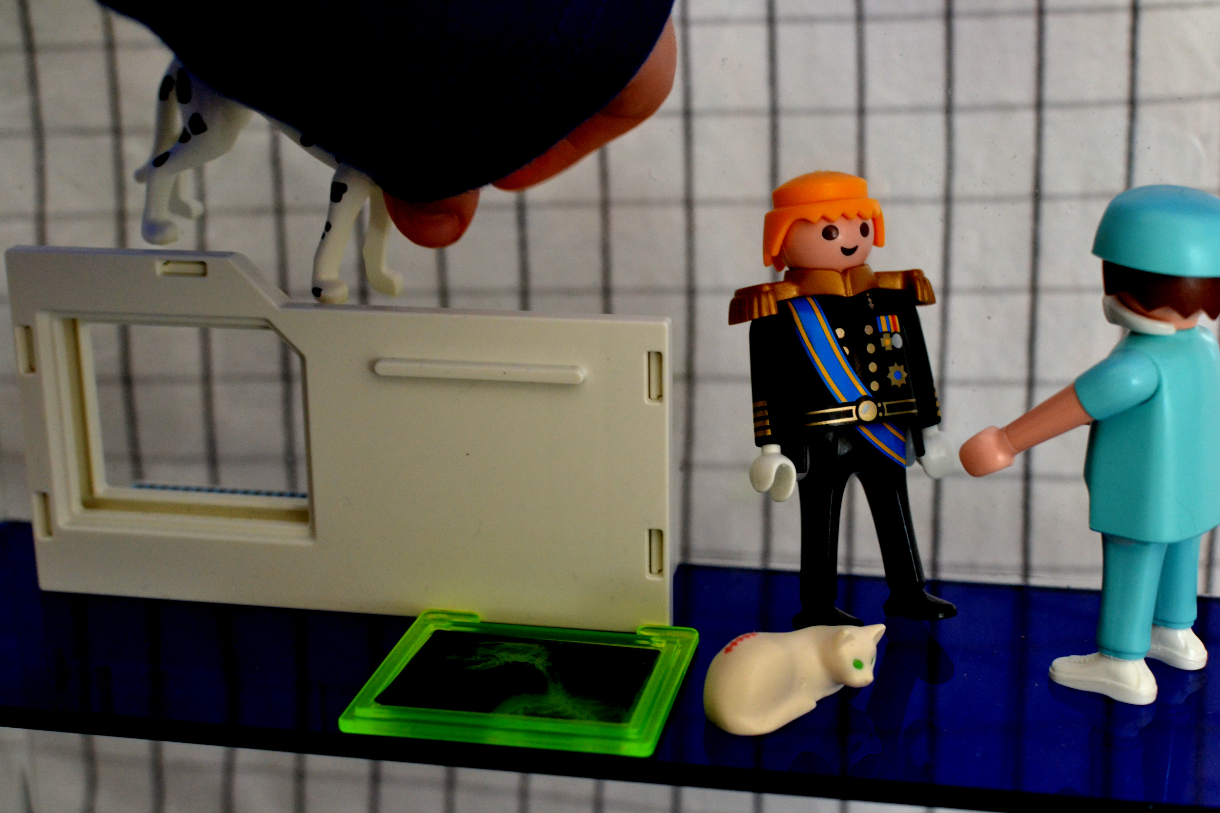 Unisex dollhouse