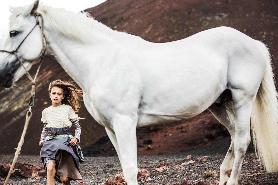 lea p horses