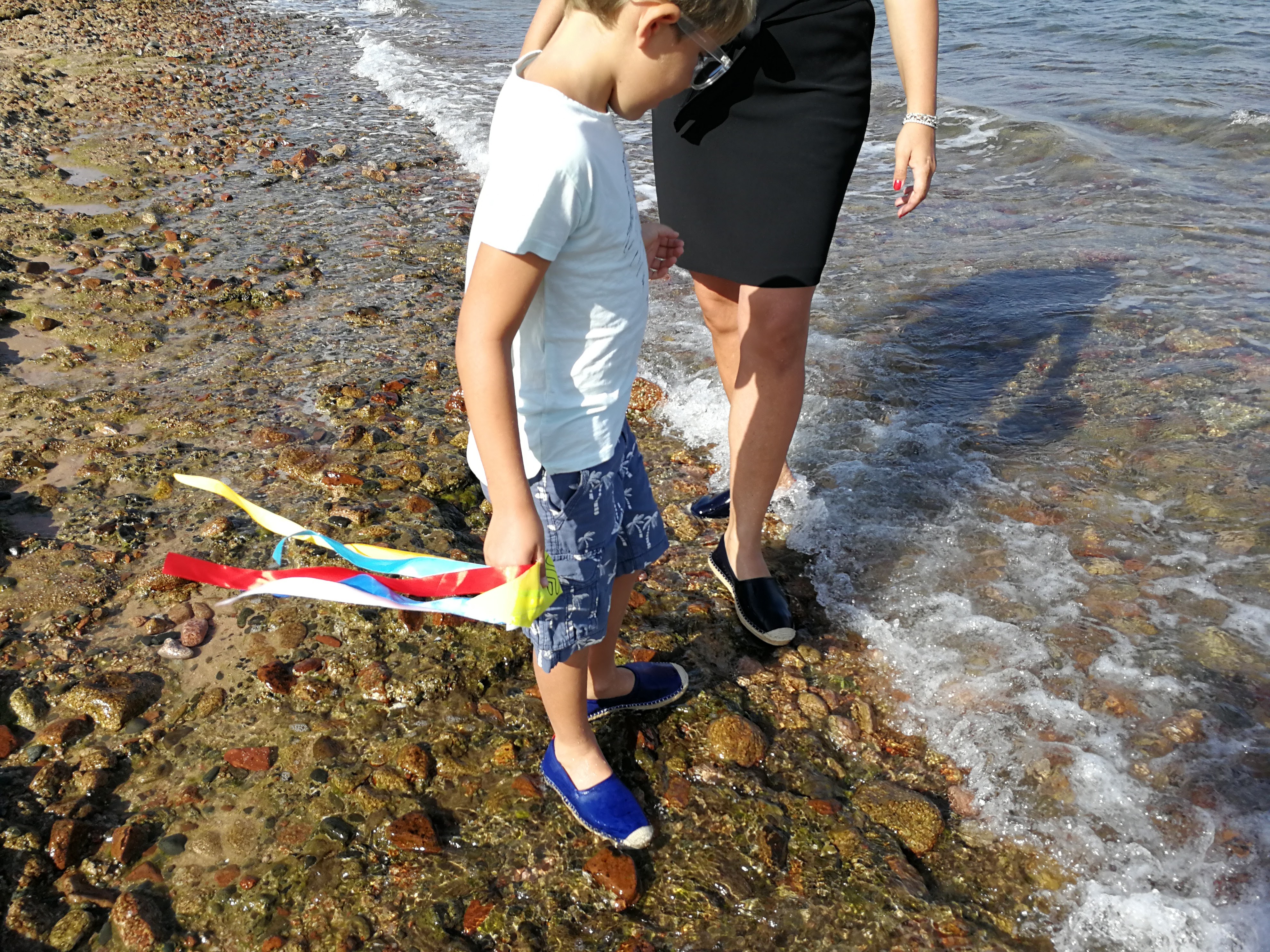 sea star beachcomber